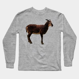 Soay Ewe Long Sleeve T-Shirt